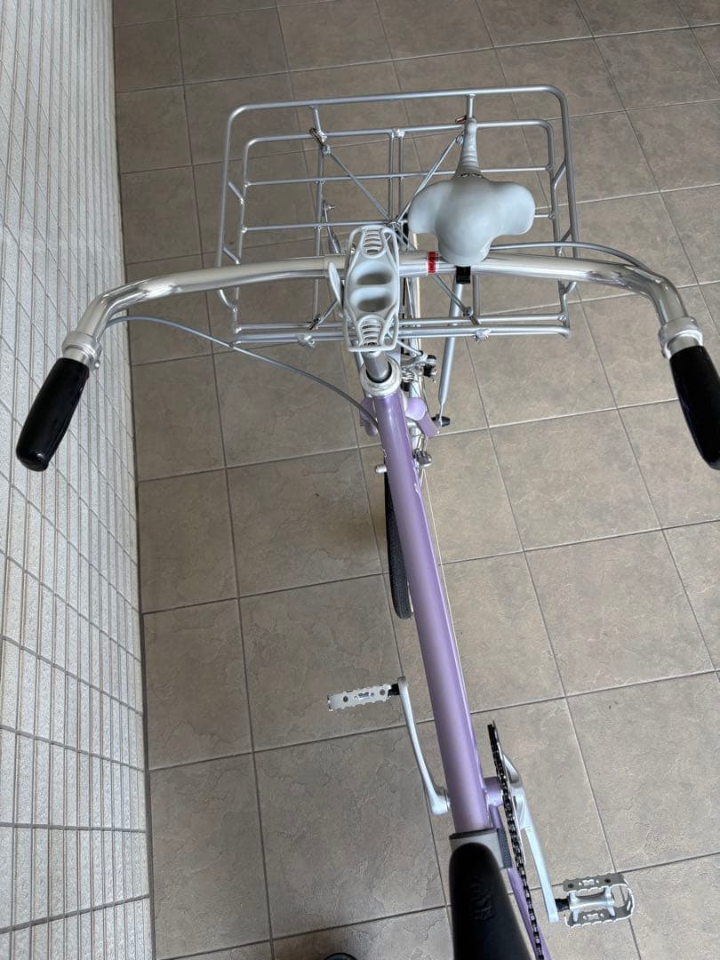 beavis引取限定Fuji ballad 2024 lavender