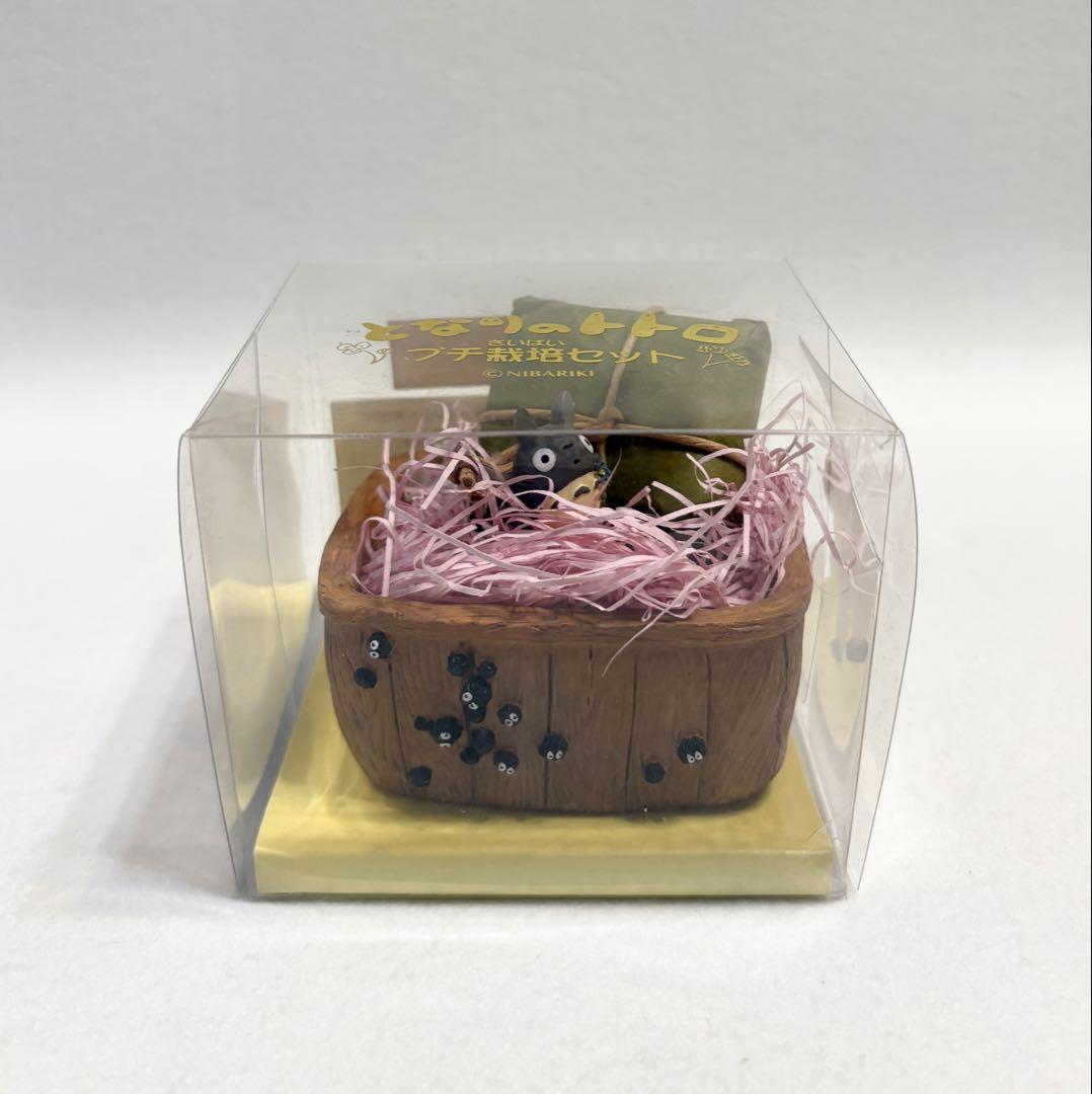 となりのトトロ プチ栽培セット ヒメコスモス (壁) スタジオジブリ