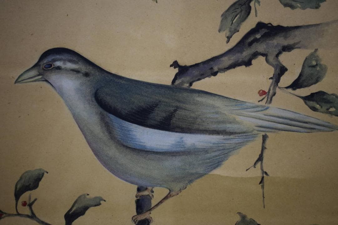 複製/青甫/花鳥図/工芸/布袋屋掛軸HJ-920