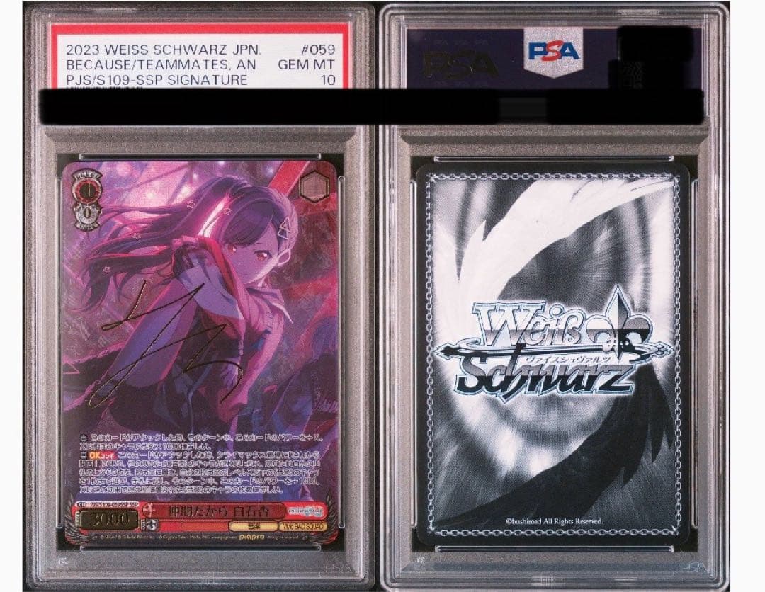 仲間だから 白石杏 SSP psa10