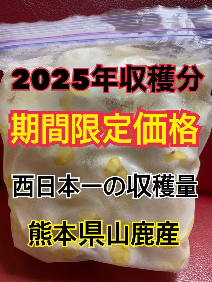 ゆうさま専用　むき栗　2.5キロ