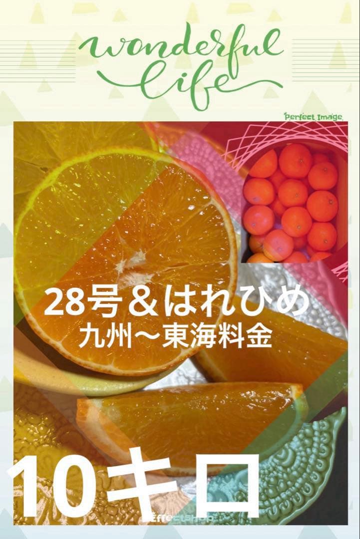 11-5+5k あいか28号みかん5キロ＆はれひめ5キロセット　九州〜東海料金