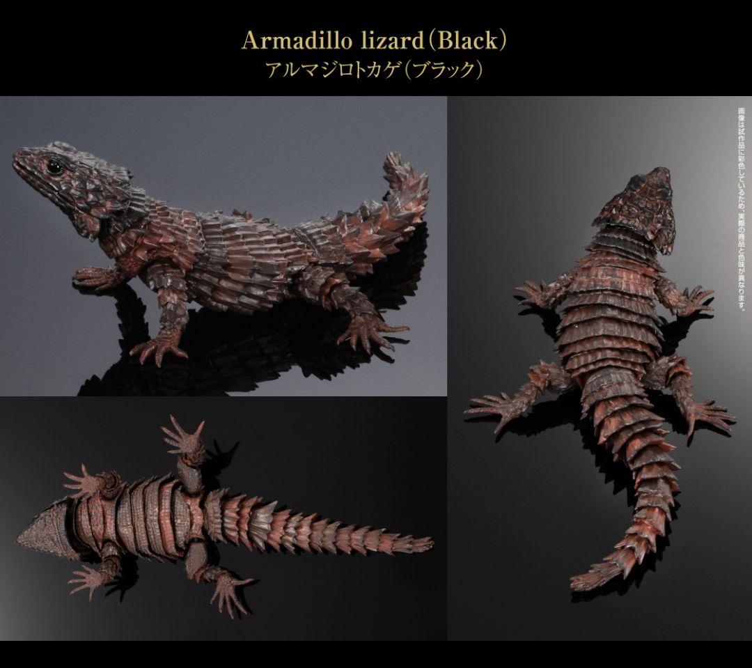 いきもの大図鑑アドバンス　アルマジロトカゲ　全４種フルコンプ　個包装　新品未開封
