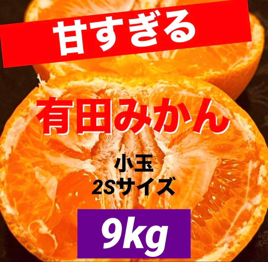47)数量限定　甘すぎる　有田みかん　果物 　みかん　小玉　旬