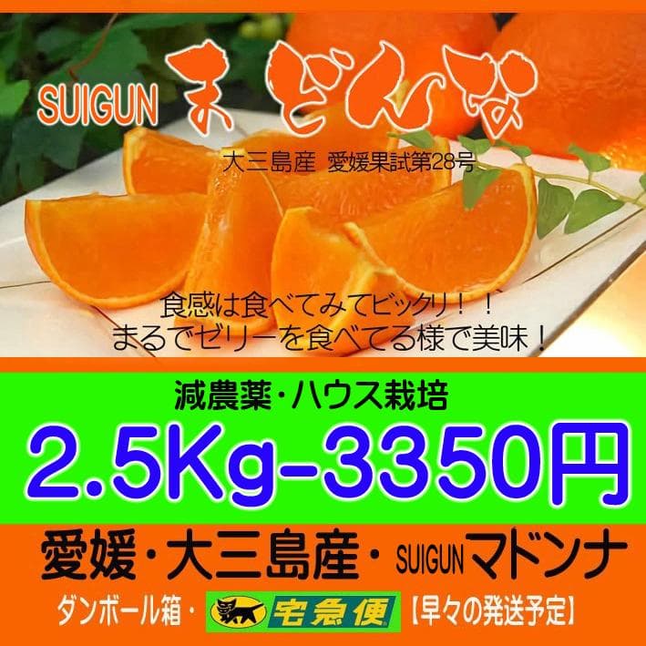 【チゥーリ】Lマドンナ6Kg×３か所+2.5Kg×２か所