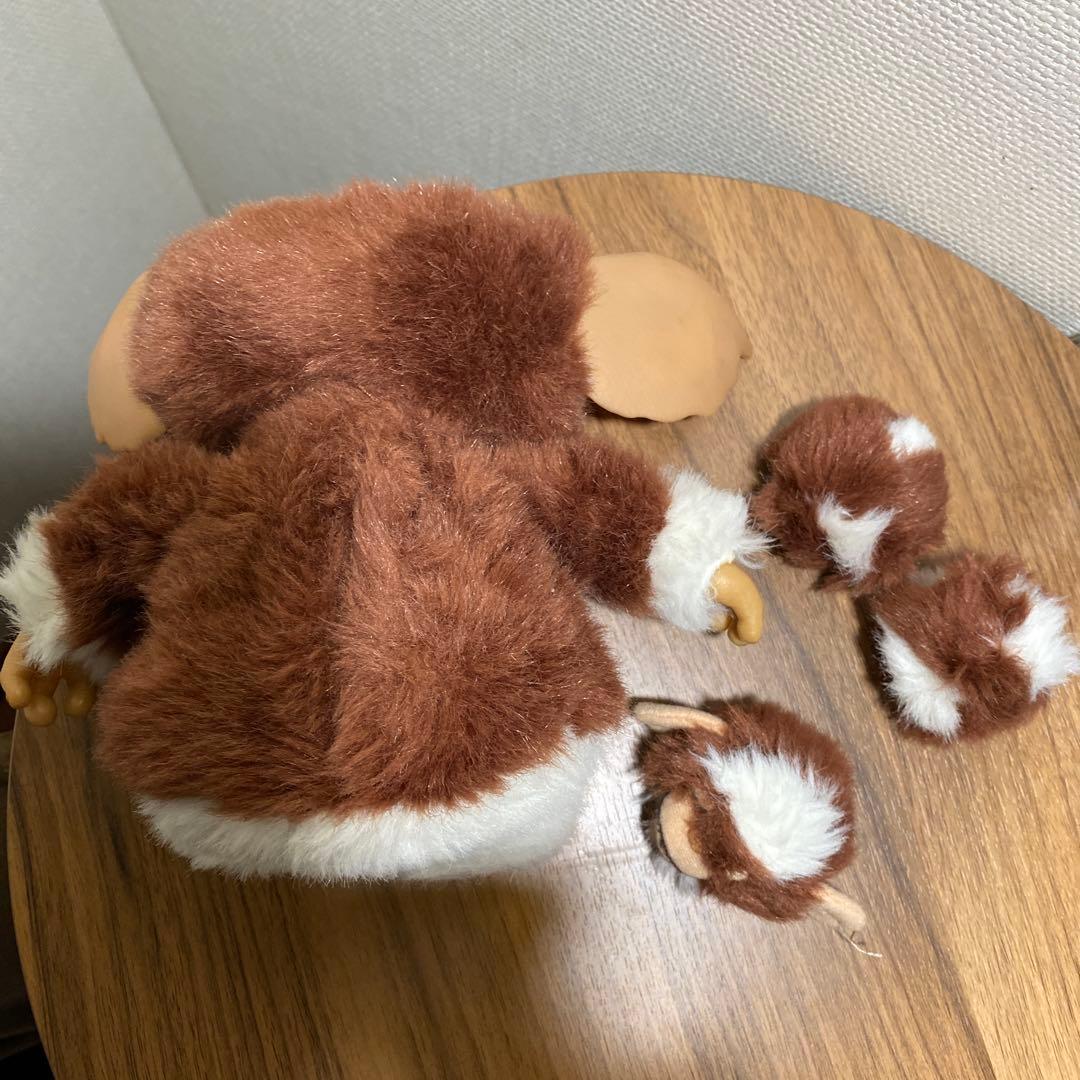 ジュンプランニング⭐︎ギズモプラッシュドール⭐︎毛玉付き