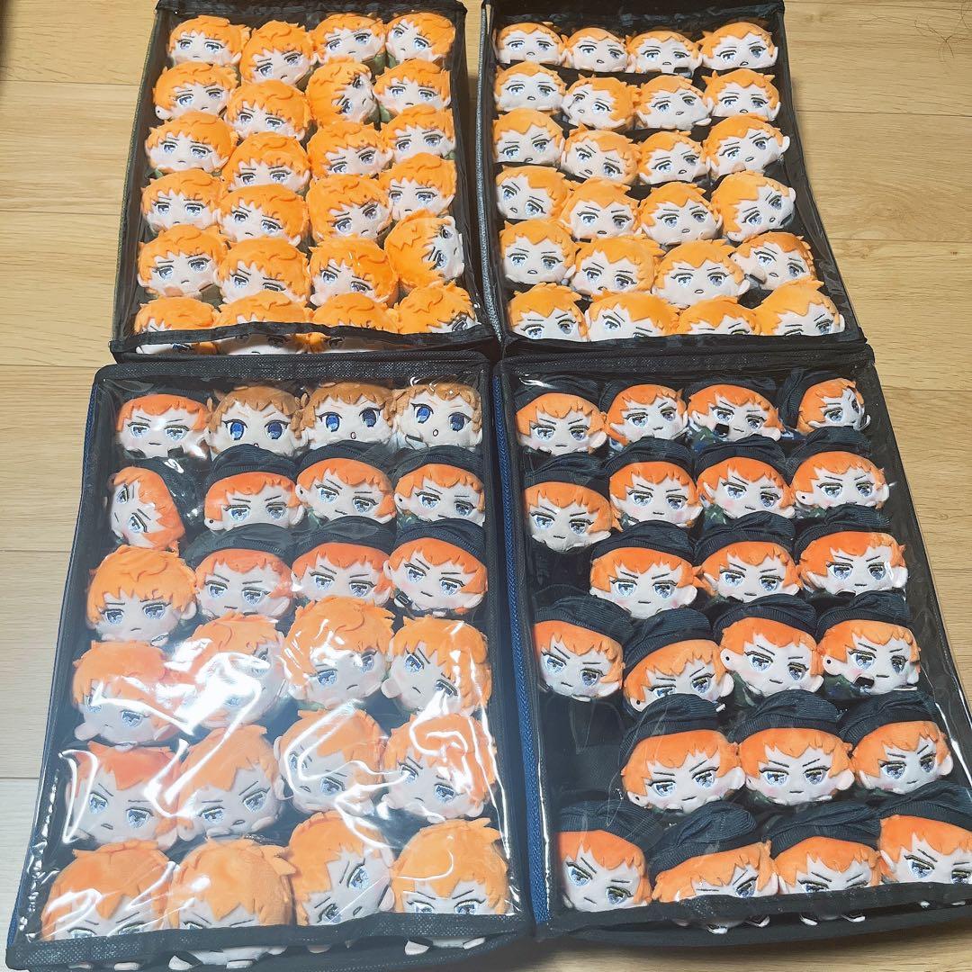 毒島メイソン理鶯 もちころ