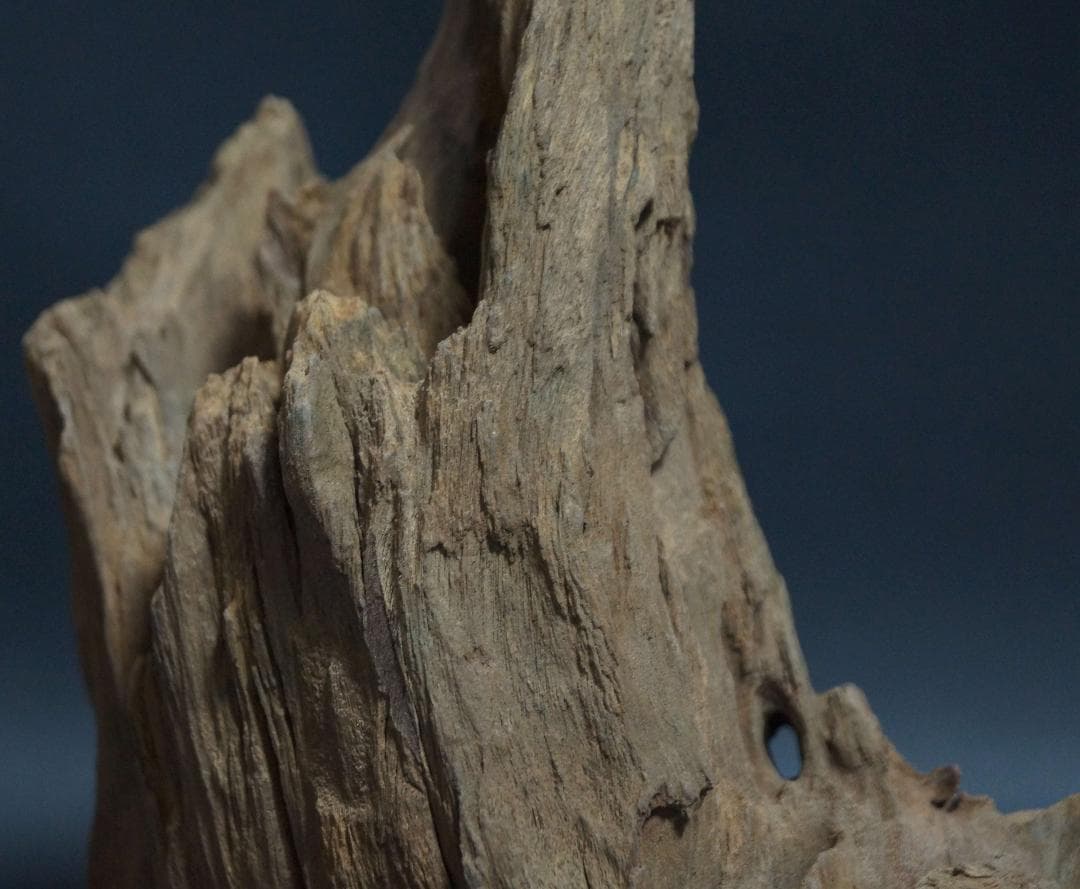 インド産 天然古白檀 特大香木 原木 自然体 山形香木置物 古香木 重量974g