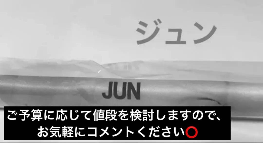 SEVENTEEN ジュン タペストリー セブチ New 文化祭 輪投げ