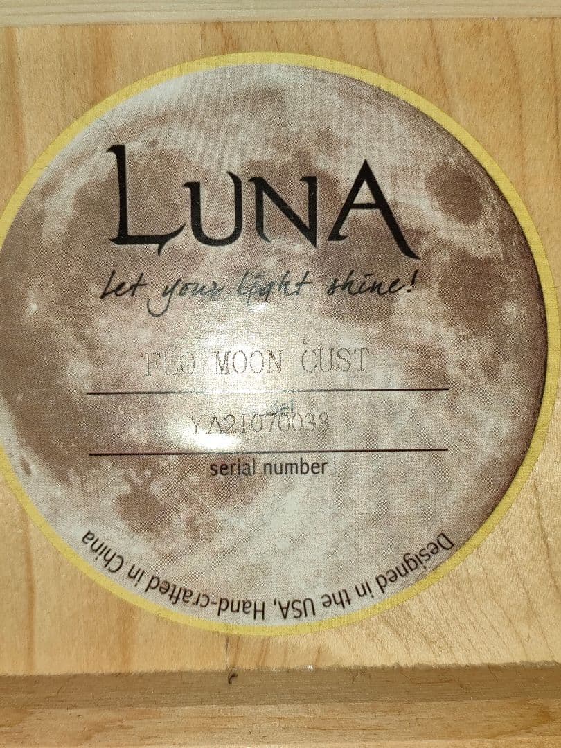 美品希少 LUNAギター エレアコ