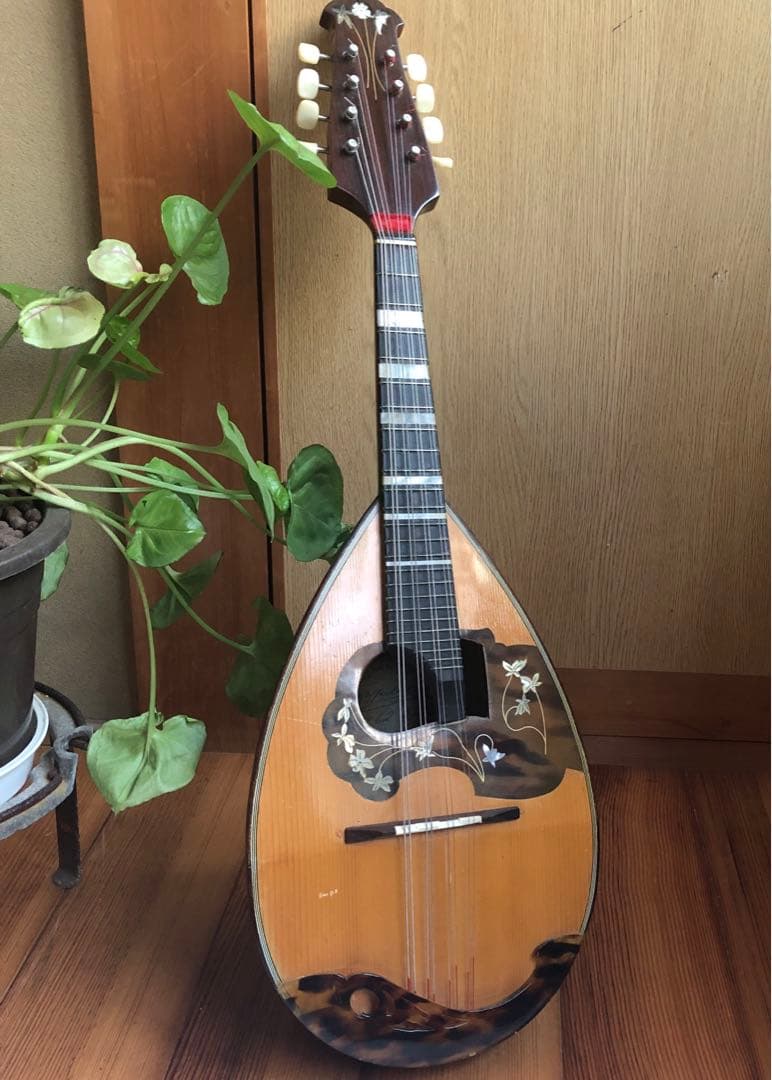 ラファエレカラーチェマンドリン　Type13