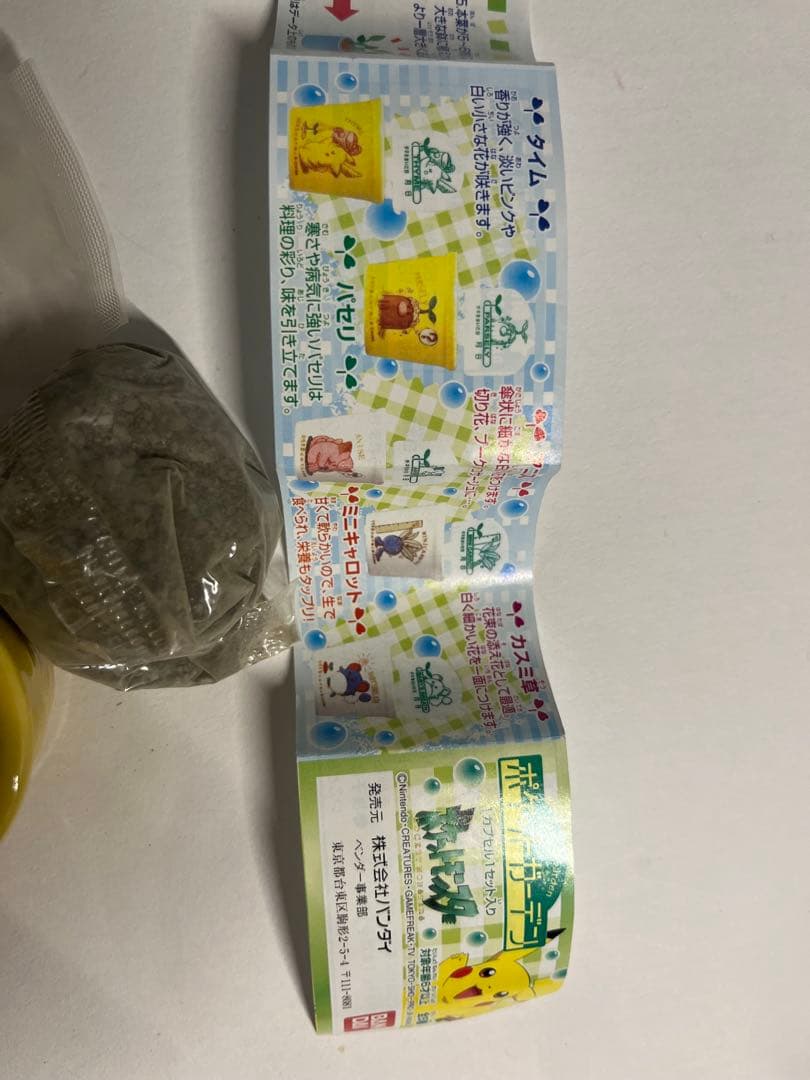 ポケモン　ポケットガーデン　ピカチュウ 陶器 植木鉢