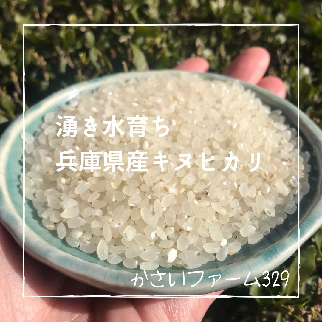 新米★ 山の湧き水で育てた農家のお米 兵庫県産キヌヒカリ 20kg(10kg×2