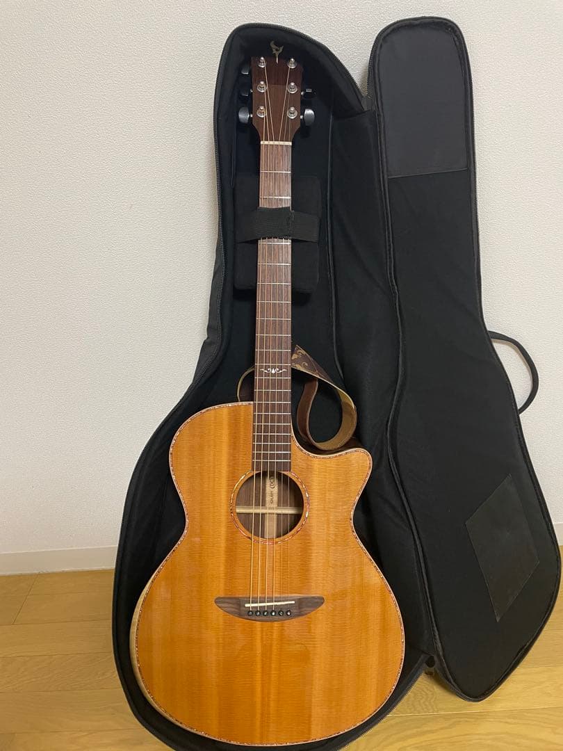 エレアコギター　DCT ＧＲ742CE