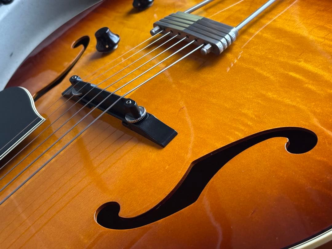 ゴダン Godin 5th Avenue Jazz 希少フルアコギター