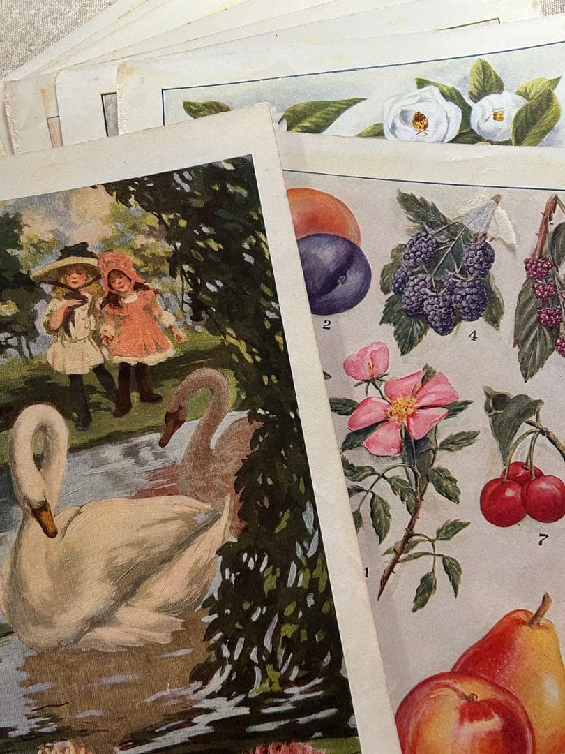 アンティーク花フルーツリトグラフ紙ものまとめ売りジャンクジャーナル素材蚤の市洋書