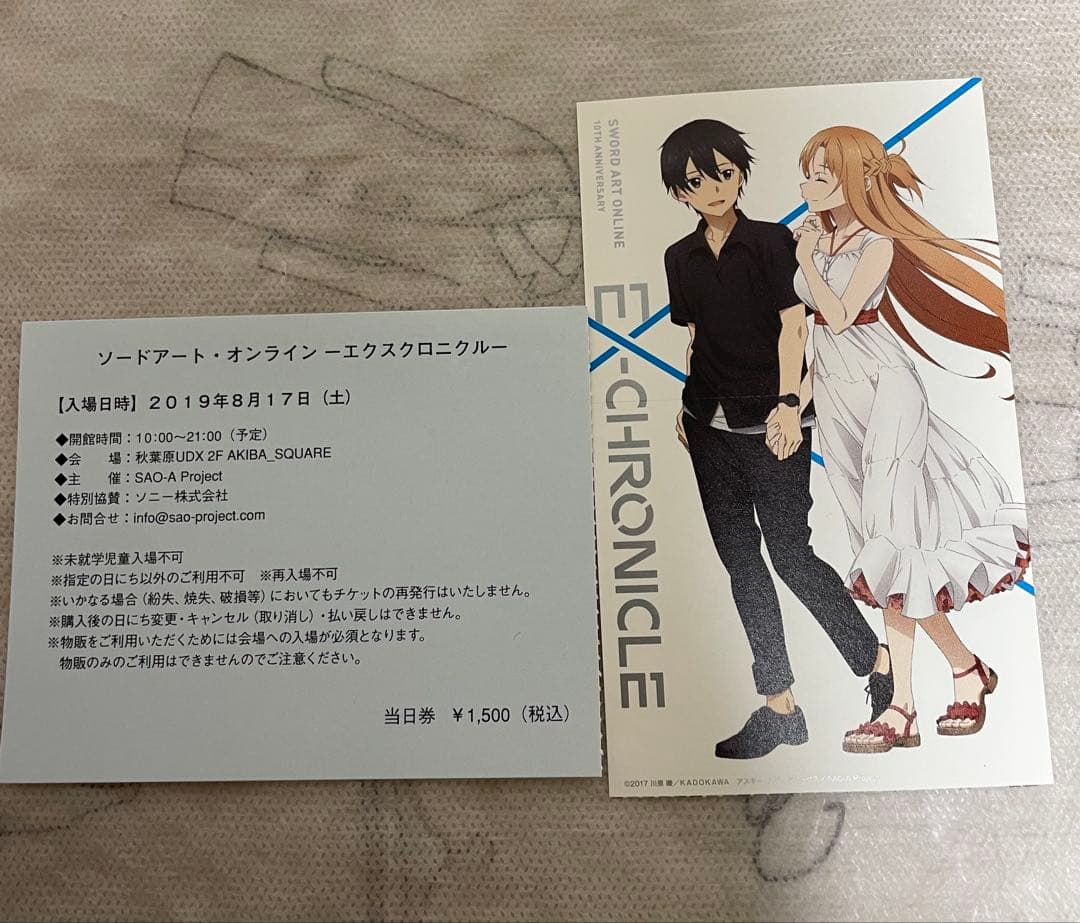 【希少・未使用品】ソードアート・オンライン エクスクロニクル セット