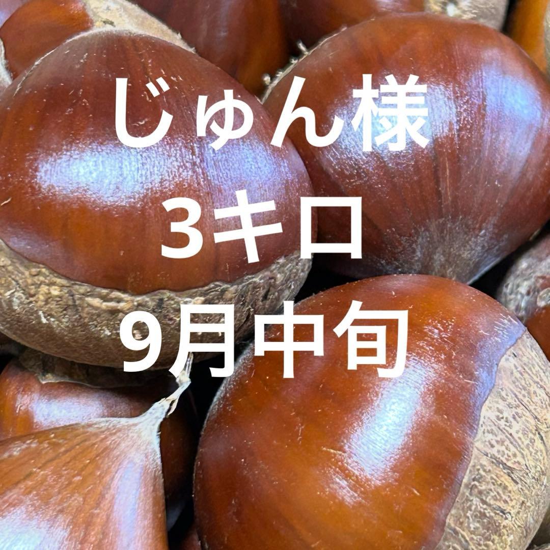 じゅん様　3キロ　9月中旬