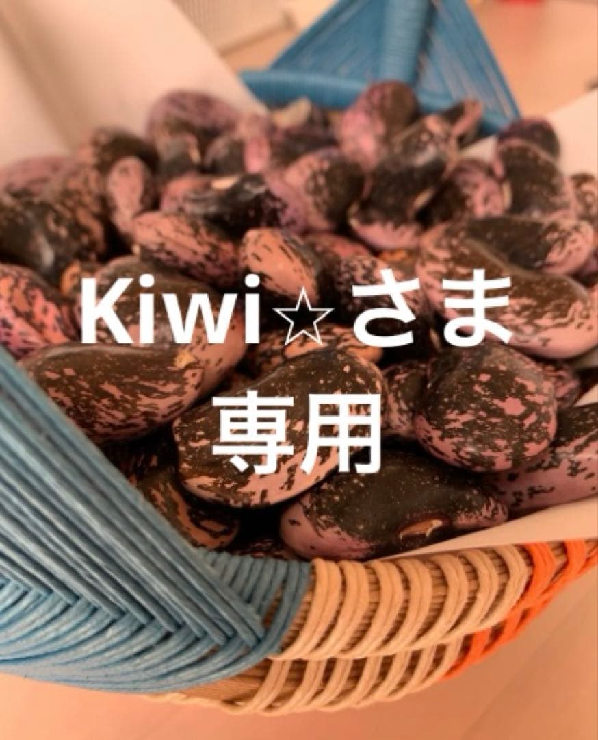 高原紫花豆 4kg 2025年産 長野県八ヶ岳麓産　自家製