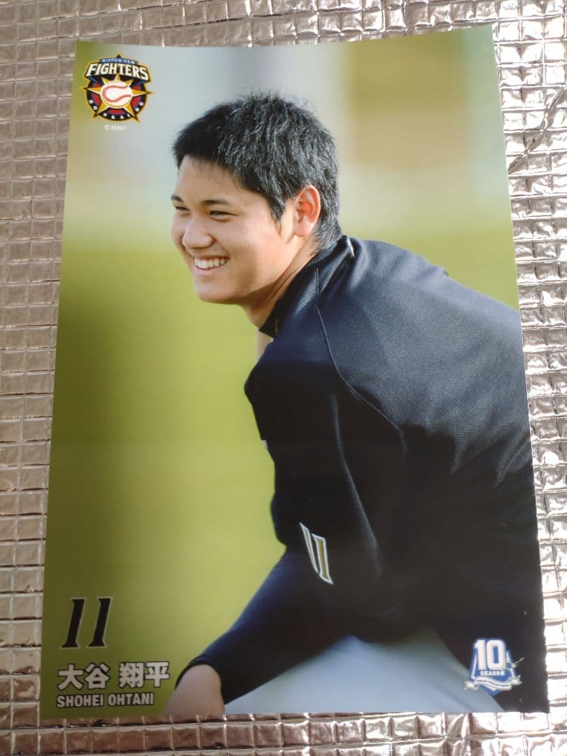 大谷翔平 2013 ハイライトフォト No.352 日本ハム 球団公式写真