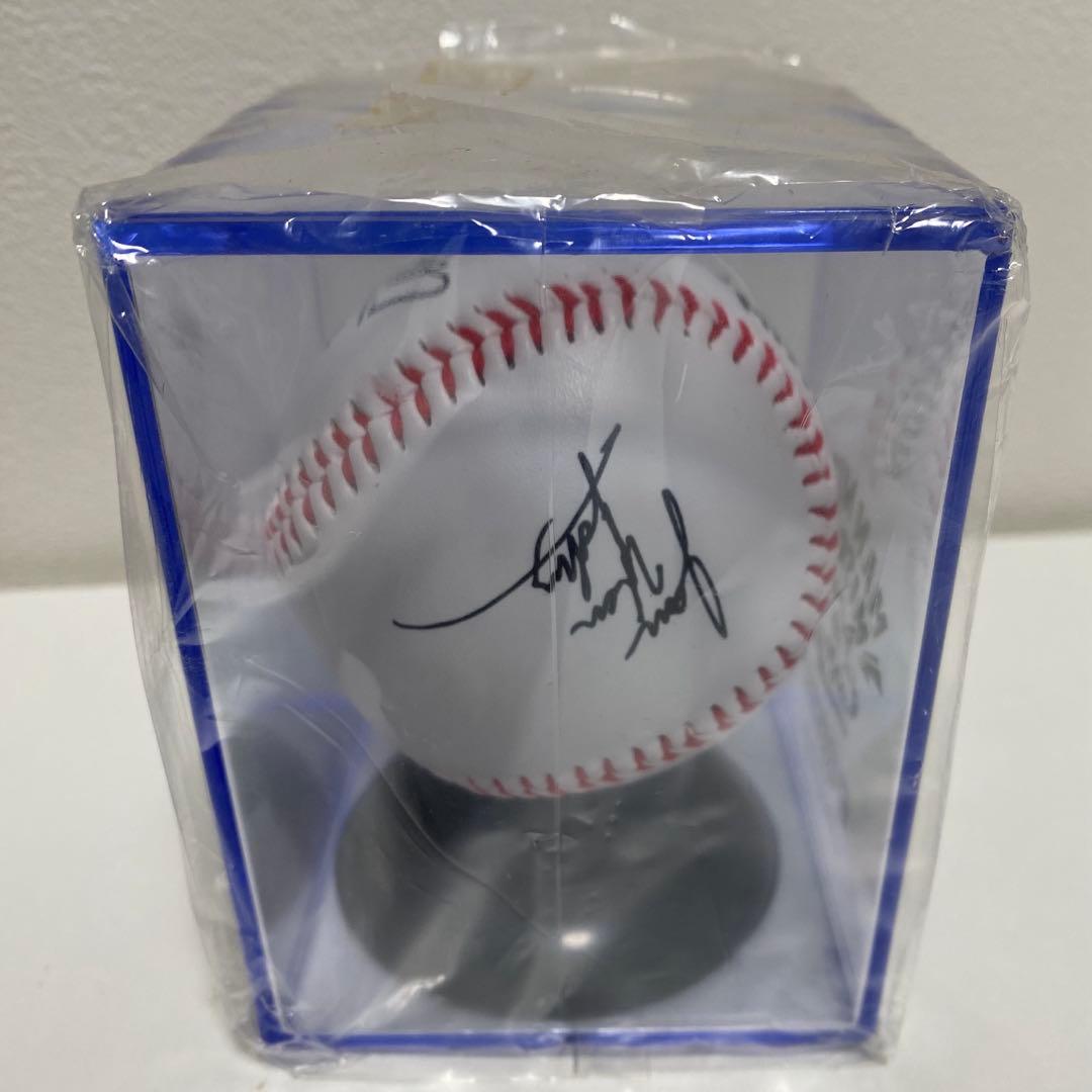 マンウィズ　サインボール　甲子園ライブ　ガウポン