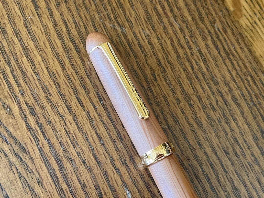 プラチナ万年筆　#3776 センチュリー　屋久杉　14K　中字