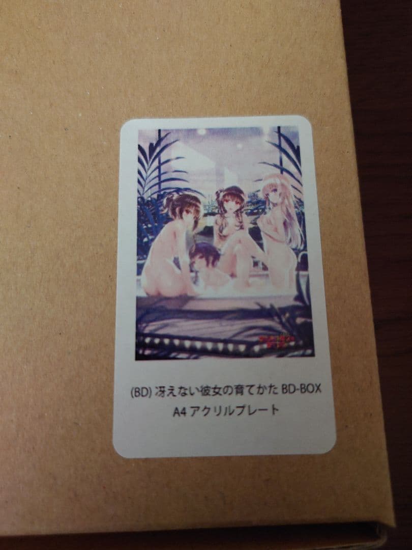 冴えない彼女の育てかた　Blu-ray　box とらのあな　　アクリルプレート