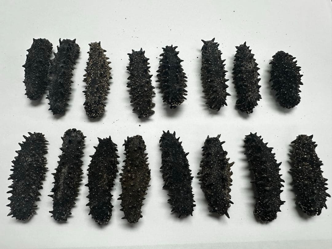 乾燥なまこ(200g)