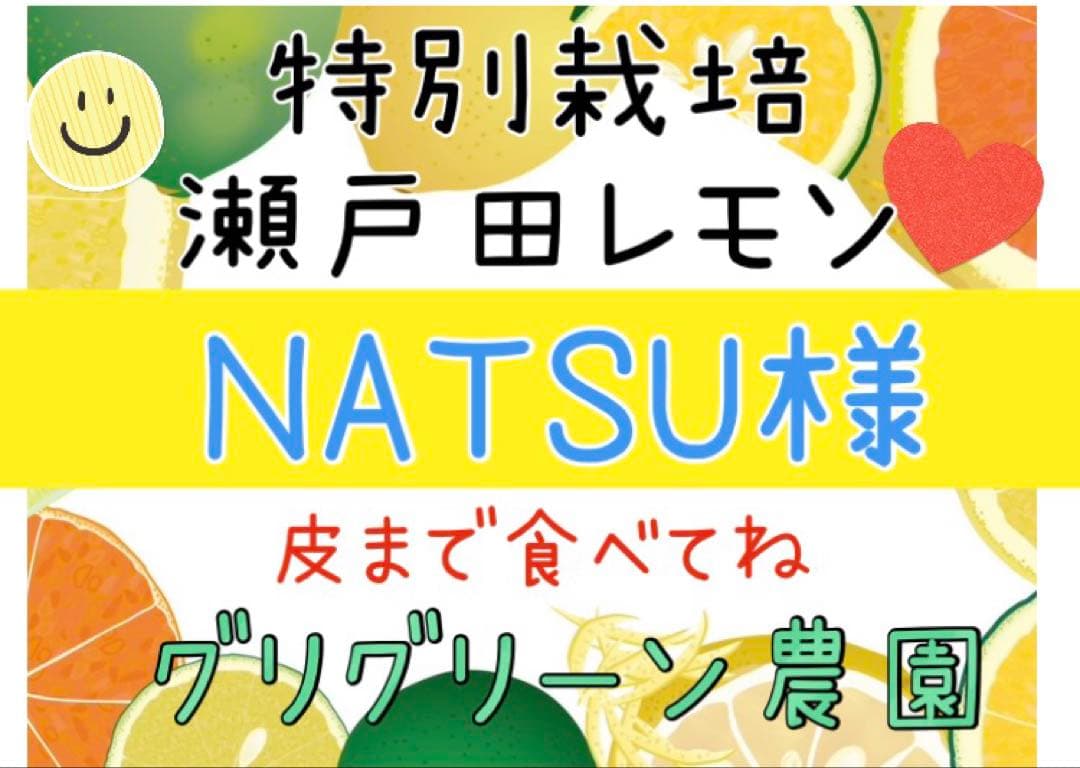 酵素栽培　小粒ちゃん　ネーブル 瀬戸田　広島県　皮も食べてオランジェット 国産