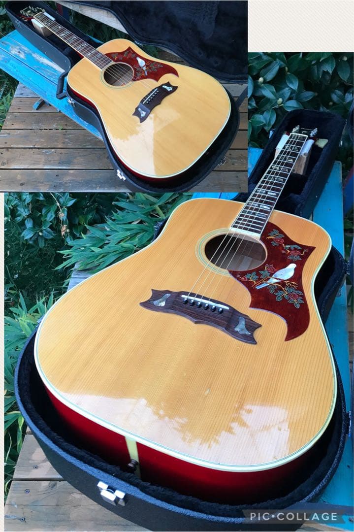 Burny BD-85 DOVE バーニー