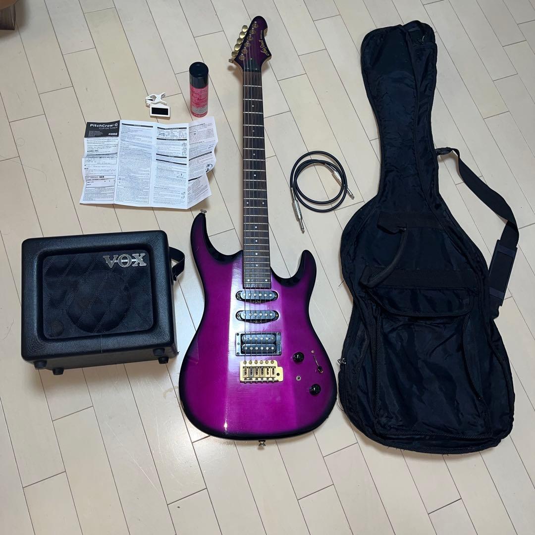 Aria Pro II エレキギター パープル セットお値下げ
