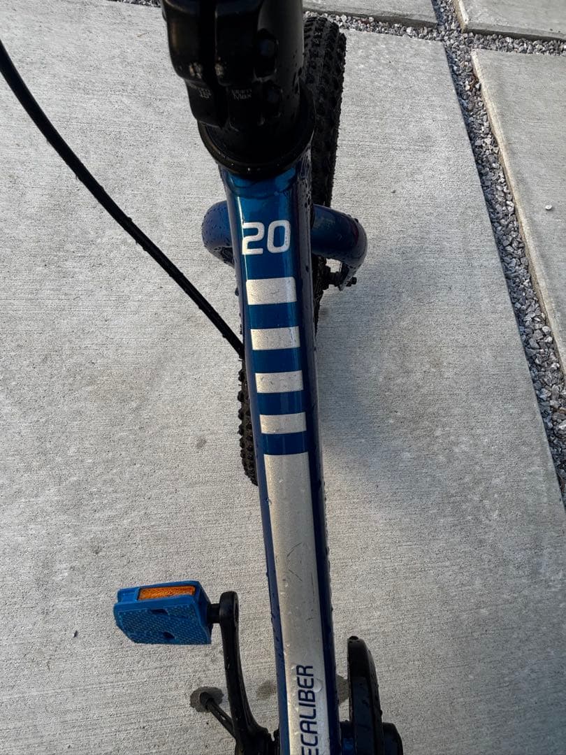 引取限定 Trek 子供用 自転車 20インチ 青 スポーツ マウンテンバイク