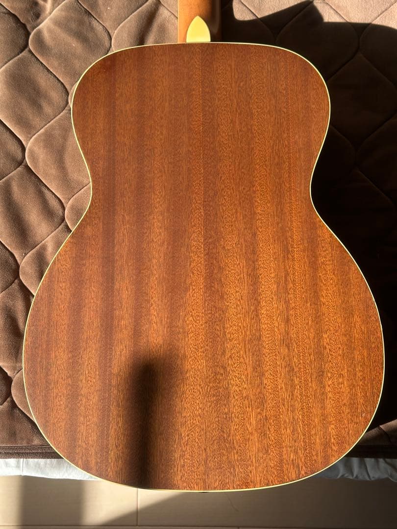 スタッフォードSF-300F-NFishman搭載｜ショートスケール｜専用ケース