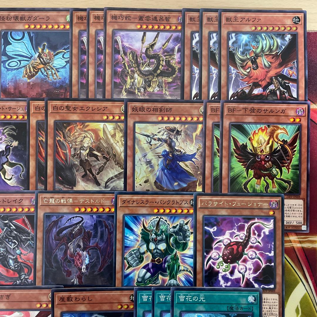 本格構築 壊獣カグヤデッキ 機巧蛇 叢雲遠呂智 未界域のビッグフット サルンガ