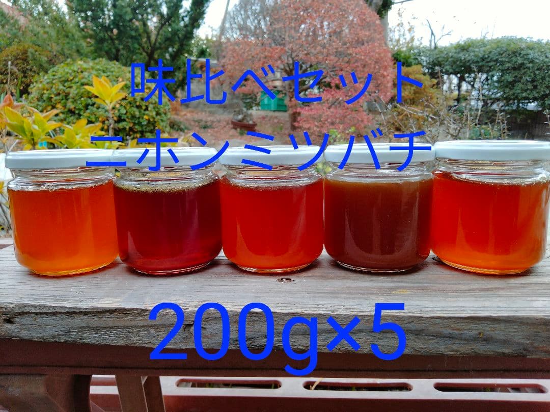 日本蜜蜂　百花蜜　200g×5　天然非加熱　　　ハチミツ　5種の味比べセット 3
