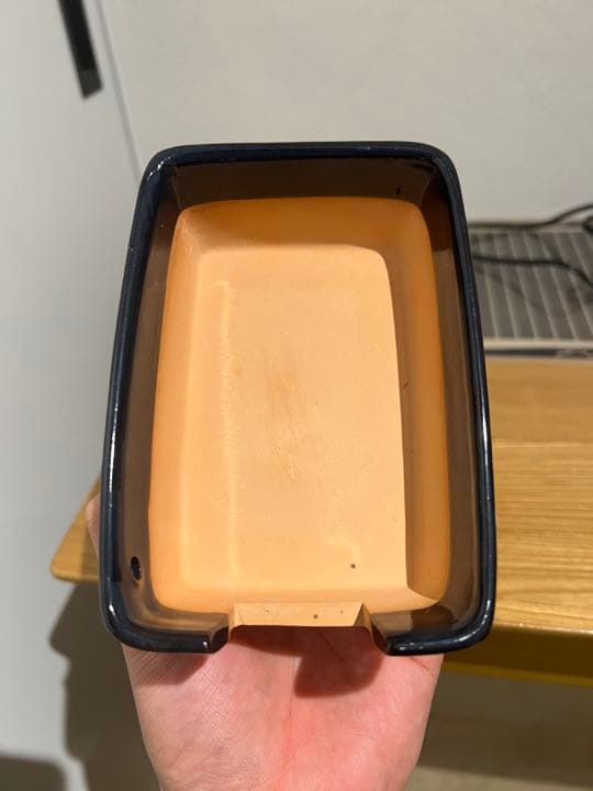 爬虫類飼育関連のアイテム