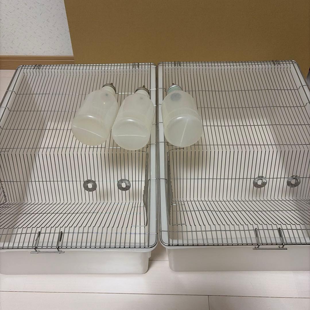 マウス ラット 飼育ケージ XL 2点セット