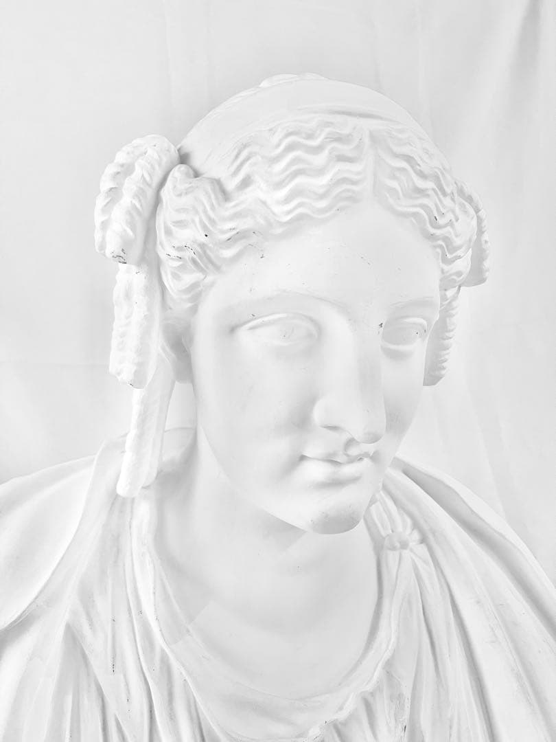 石膏像 パジャント胸像 ベレニケ