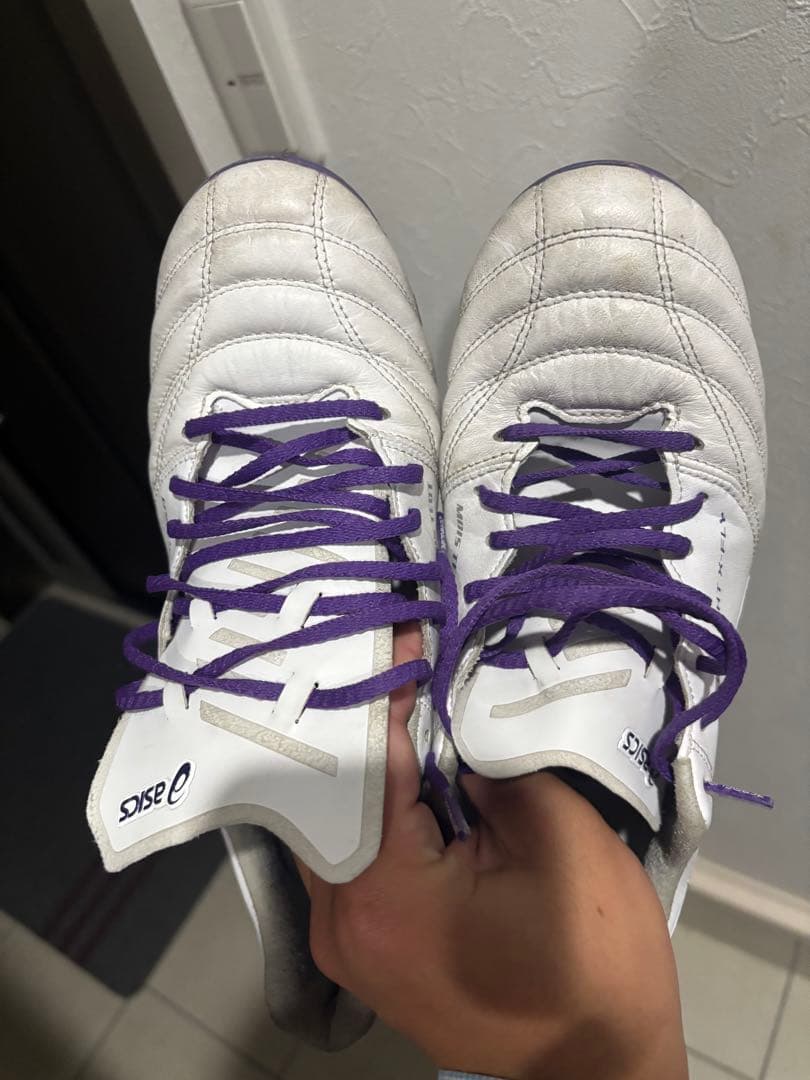 限定カラー大特価アシックスDSライト X-FLY5 26.5cm今日だけです。