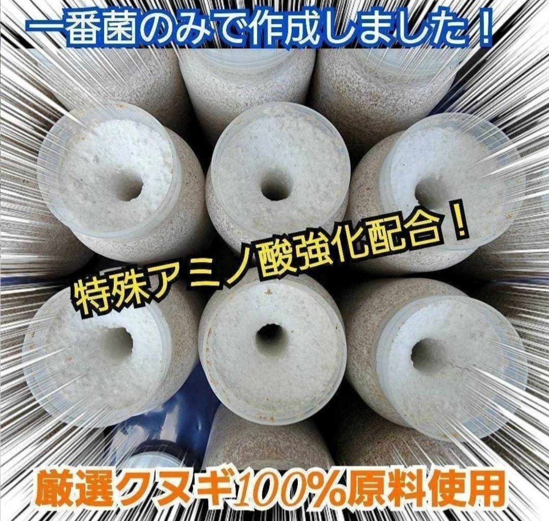 カワラタケ菌糸瓶1100ml 【８本】トレハロース強化配合！クワガタ全般に使える
