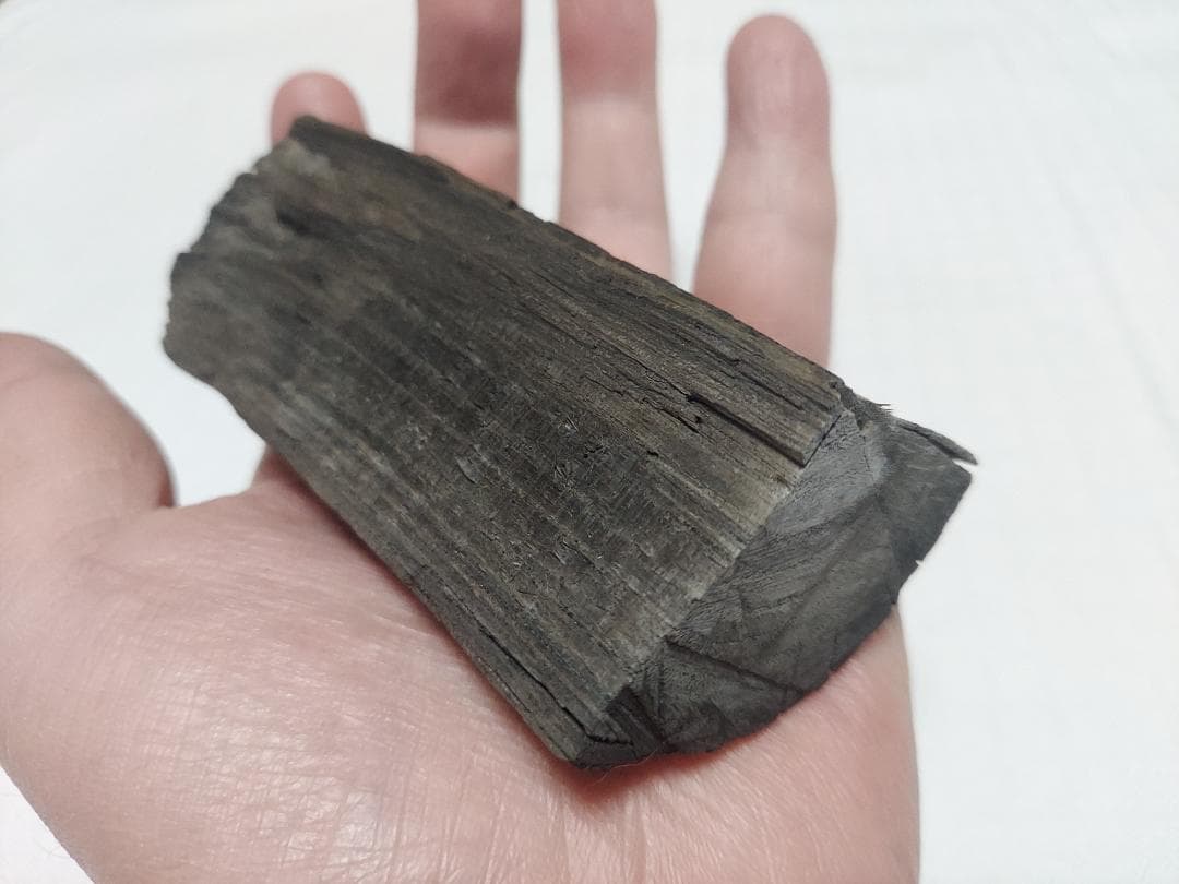 阿武隈川産 埋もれ木（割３）　新古今和歌集に詠まれた本物の伝承品