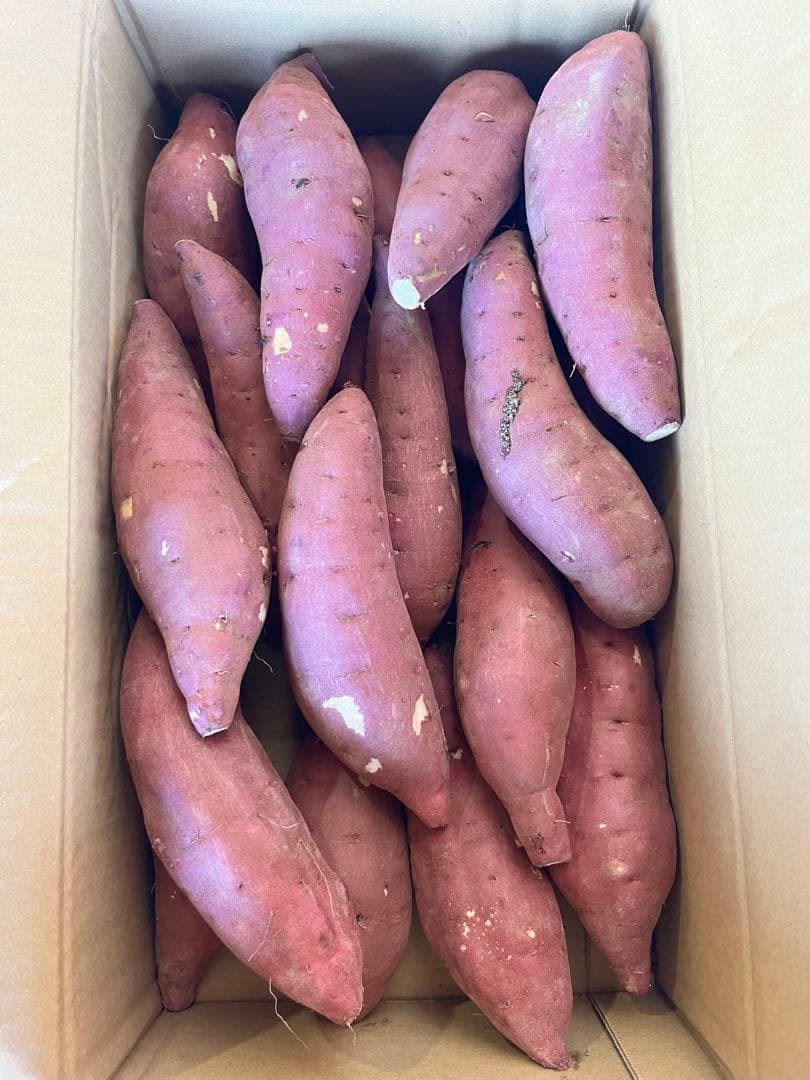 いつもより安く仕入れることが出来ました！大分県産　甘太くんA品Lサイズ　20キロ