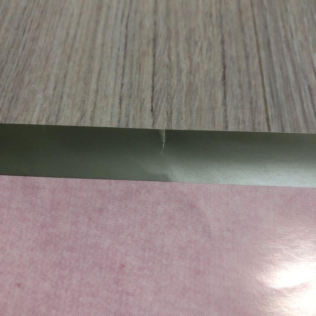 ミスチルMr.Children花 memento moriポスター