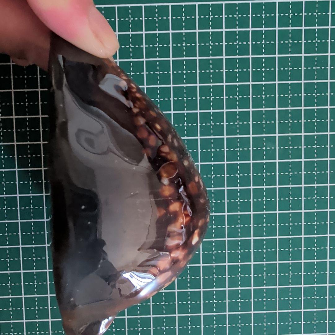 ハチジョウダカラ　3