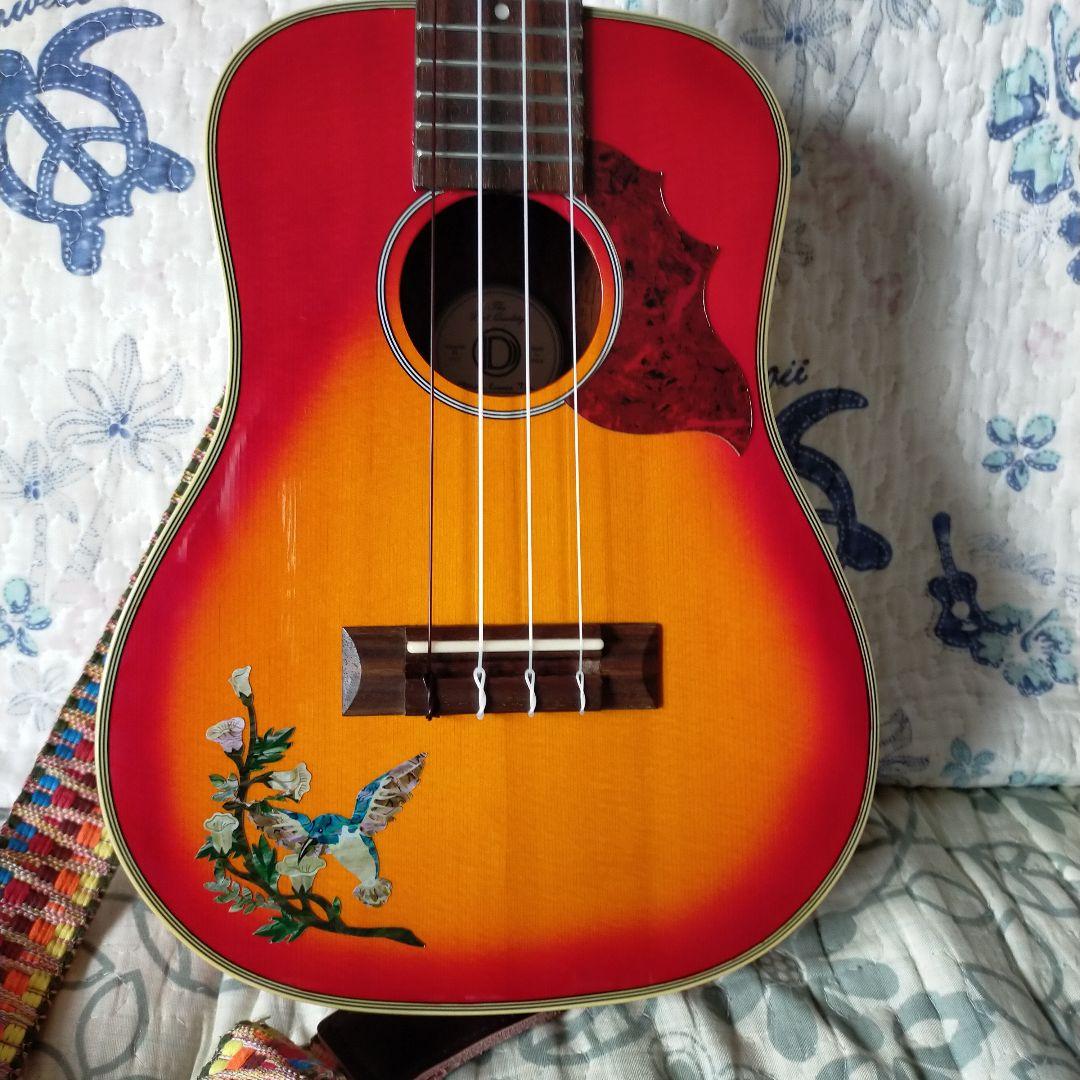 ウクレレ　コンサートsize