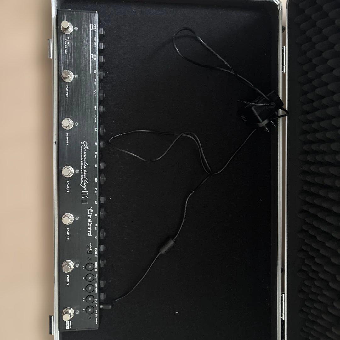 ギター OneControl Chameleon Tail Loop MK II