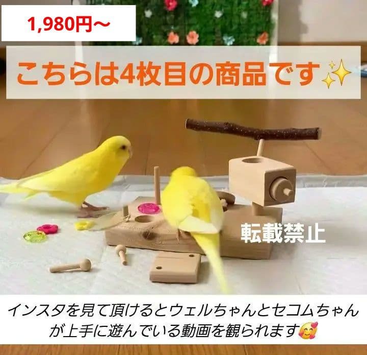 u70　⭐　フォージングトイセット⭐　輪投げ　バードトイ　文鳥　インコ