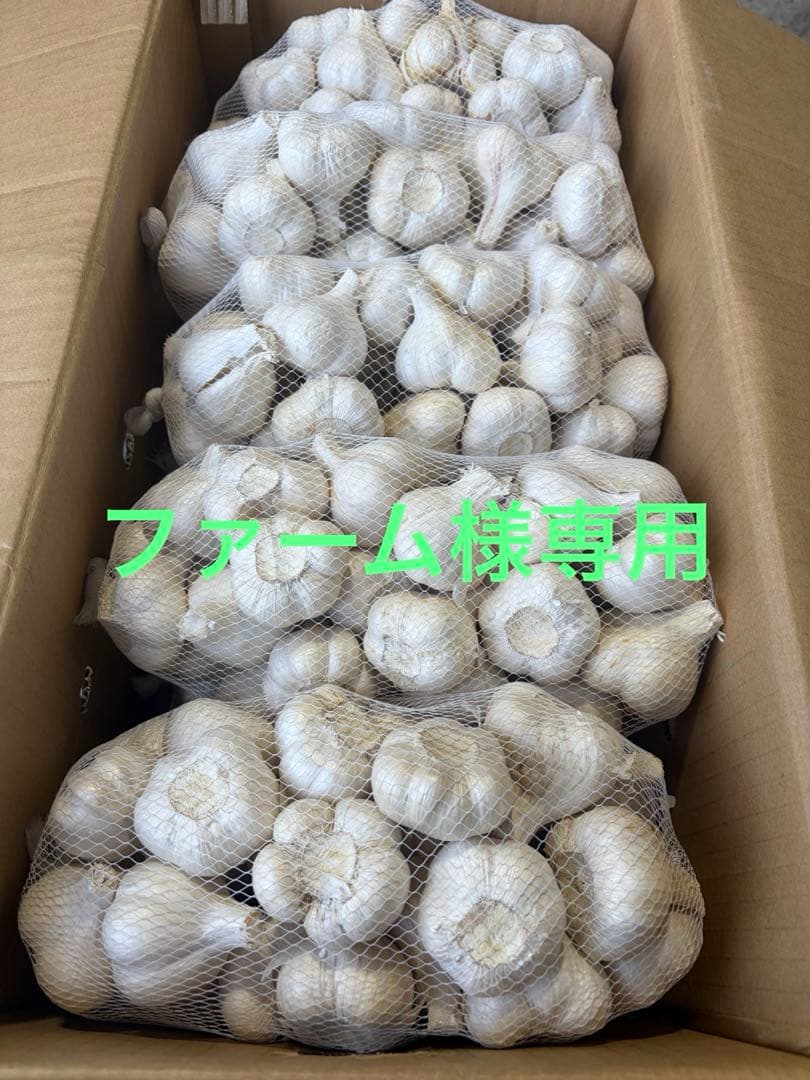 青森県産にんにく　Ｓ　２０ｋｇ　ファーム