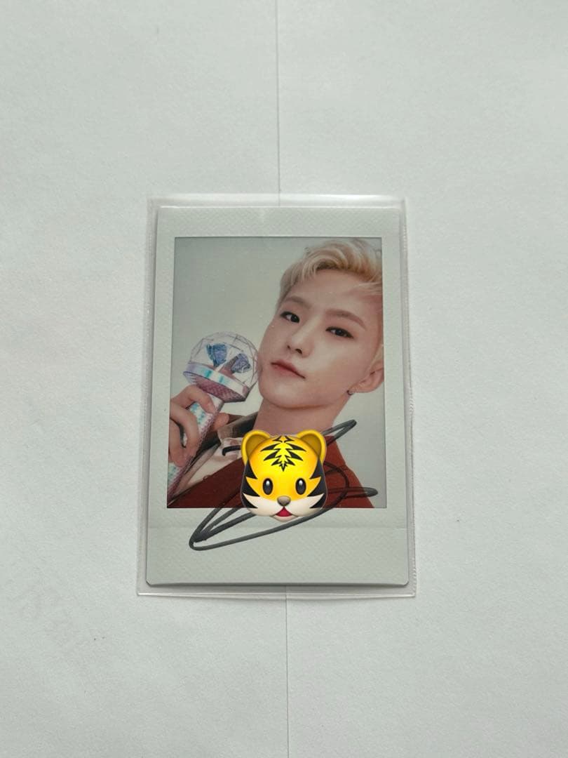 seventeen セブチ ホシ 直筆サイン入りポラロイドチェキ トレカ