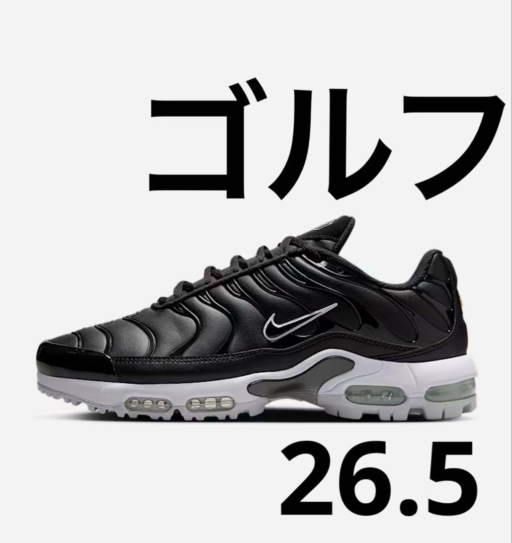 さんま　Nike Air Max Plus ブラックゴルフ　エアマックスプラス